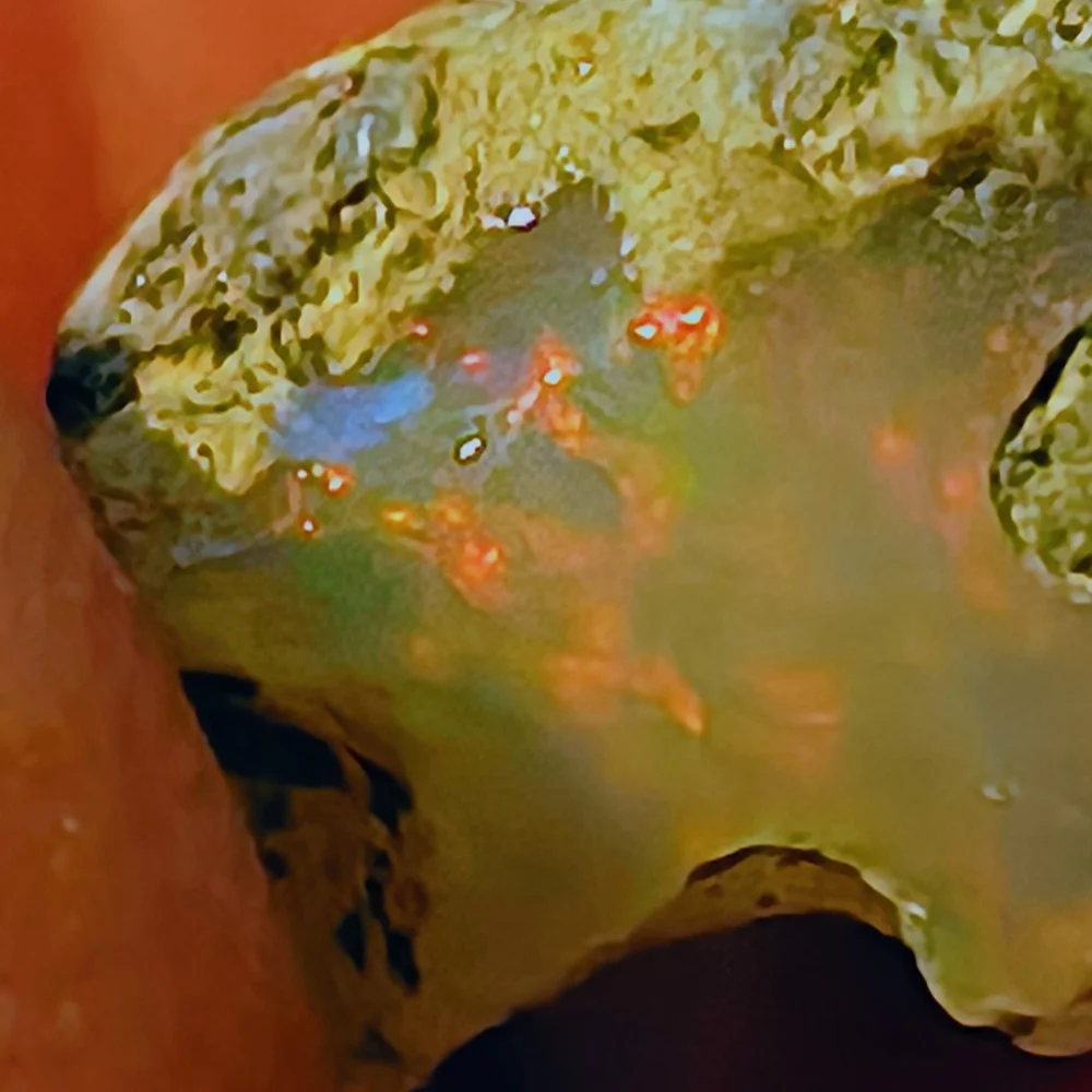 Colorful Reptile Habitat Rock